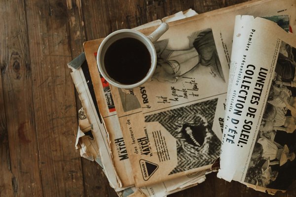 Le braque de weimar : élégance, intelligence et fidélité